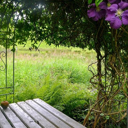 The Cottage Blackwood  Eksteriør billede